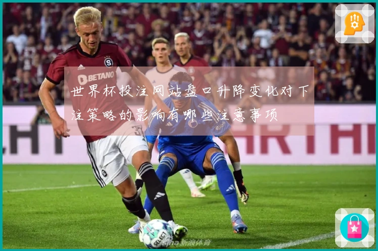 世界杯投注网站盘口升降变化对下注策略的影响有哪些注意事项