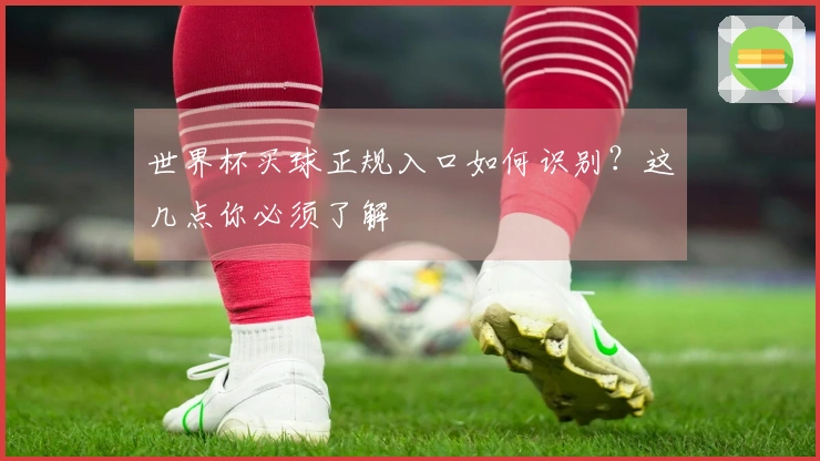 世界杯买球正规入口如何识别？这几点你必须了解