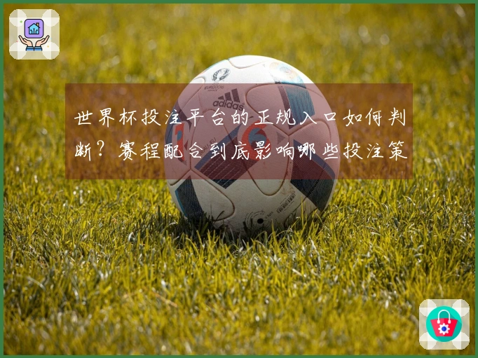 世界杯投注平台的正规入口如何判断？赛程配合到底影响哪些投注策略？