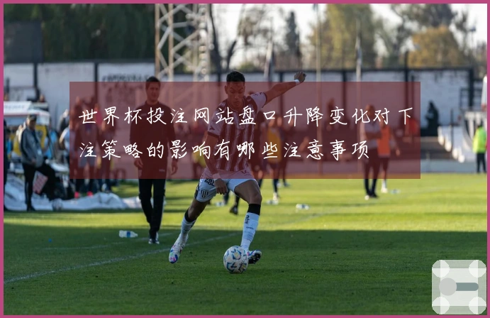 世界杯投注网站盘口升降变化对下注策略的影响有哪些注意事项