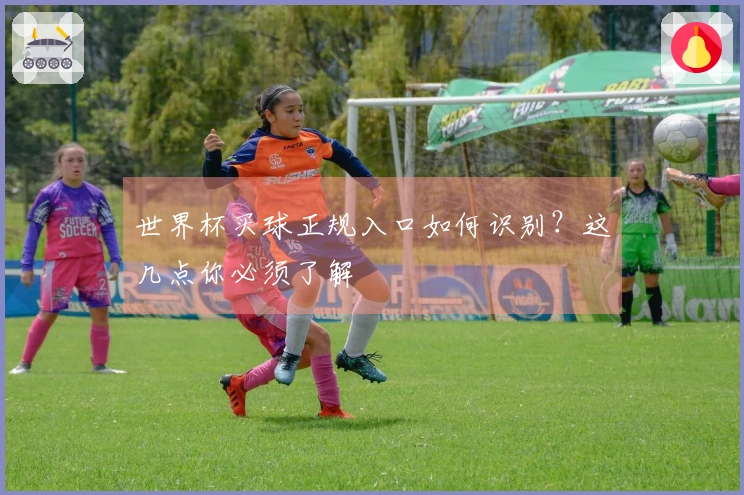 世界杯买球正规入口如何识别？这几点你必须了解